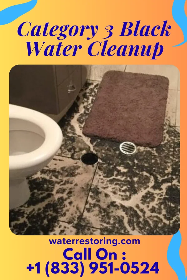 Category 3 Black Water Cleanup in Bellevue, KY