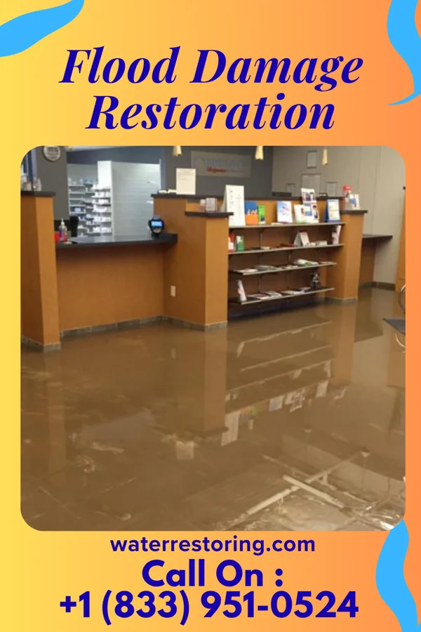 Flood Damage Restoration in Bellevue, KY